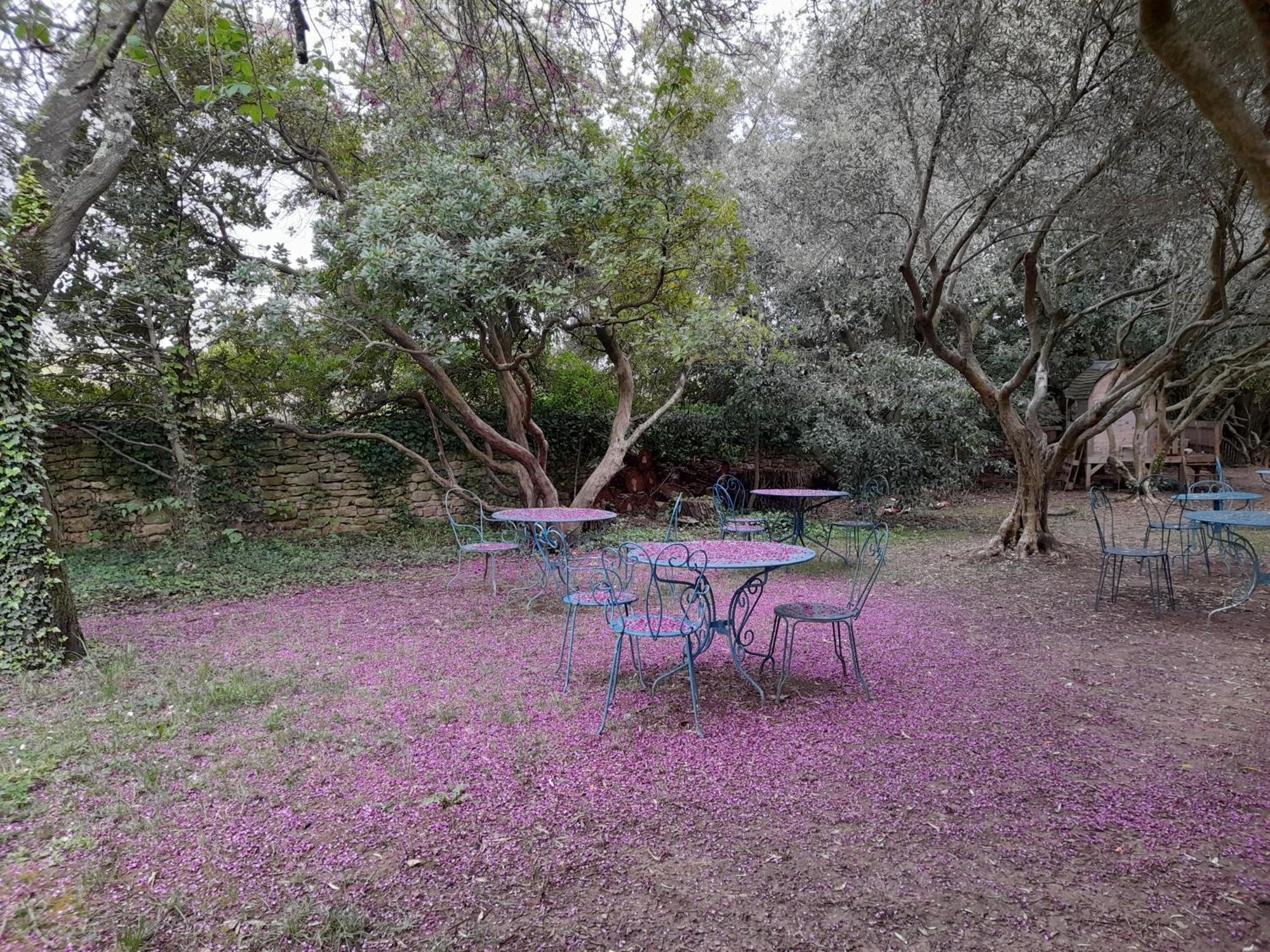 Le Mas Du Lac Uzès Εξωτερικό φωτογραφία